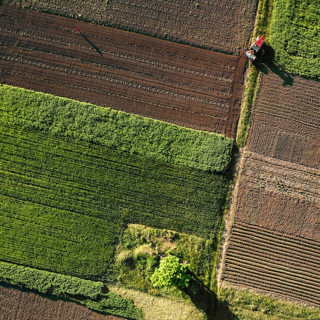 Formes géométriques abstraites de champs agricoles avec différentes cultures et sols sans semis de cultures, séparés par une route et un tracteur, dans des couleurs vertes et noires. Une vue plongeante depuis le drone.