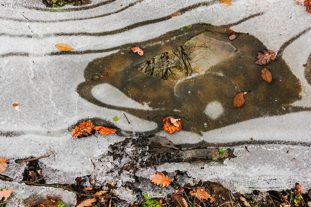 Formes de glace incurvées dans un lac en hiver