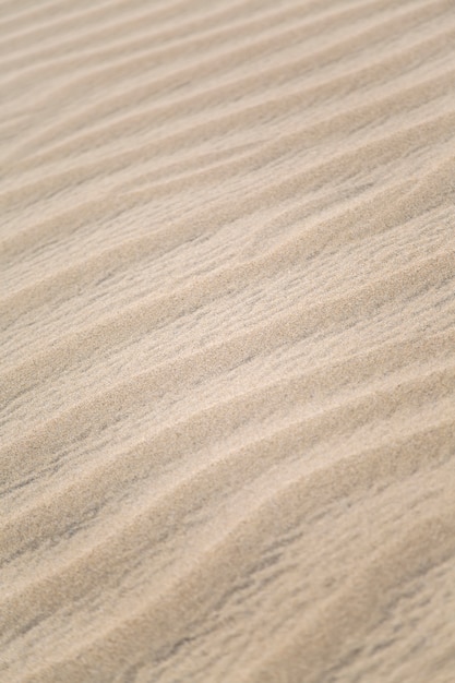 Formes de sable