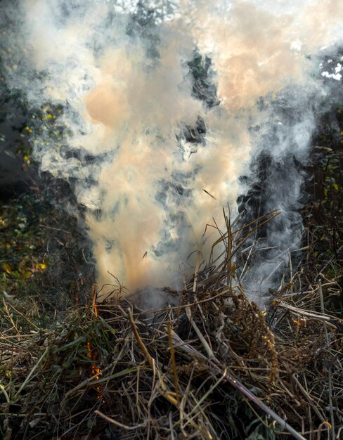 Photo forte fumée d'incendie. nettoyage des champs de roseaux, herbe sèche. catastrophe naturelle. la combustion des feuilles est mauvaise pour l'environnement