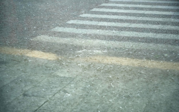 Photo une forte tempête de pluie avec un vent fort dans la ville