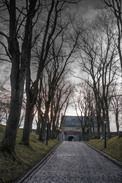 Forteresse d'Akershus un château à Oslo