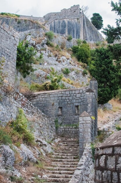 Forteresse Saint-Jean à Kotor