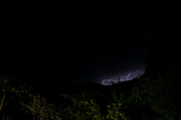 Foudre dans le ciel nocturne au-dessus de la forêt