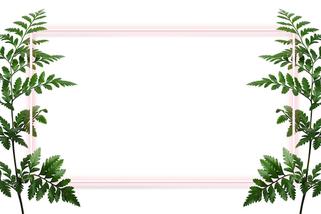 Fougère à feuilles de cuir verte avec un élément de conception de cadre rectangle rose