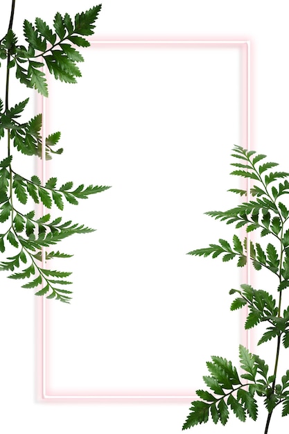 Fougère à feuilles de cuir verte avec un élément de conception de cadre rectangle rose