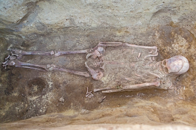 Fouilles archéologiques, vestiges de la colonie, les fossiles scythes