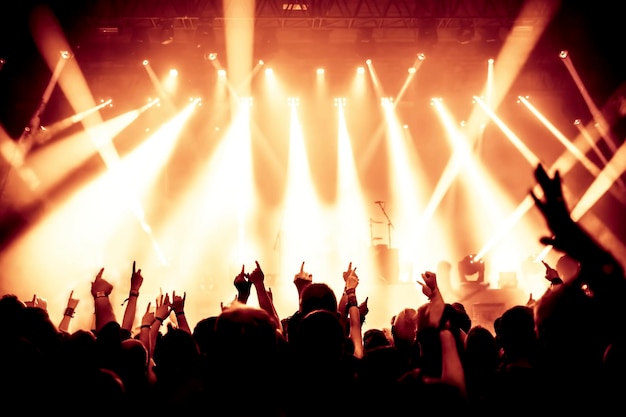 La foule à un concert de musique