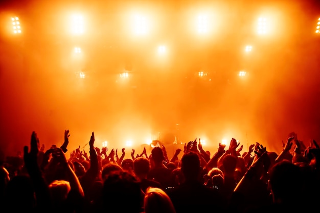 La foule à un concert de musique