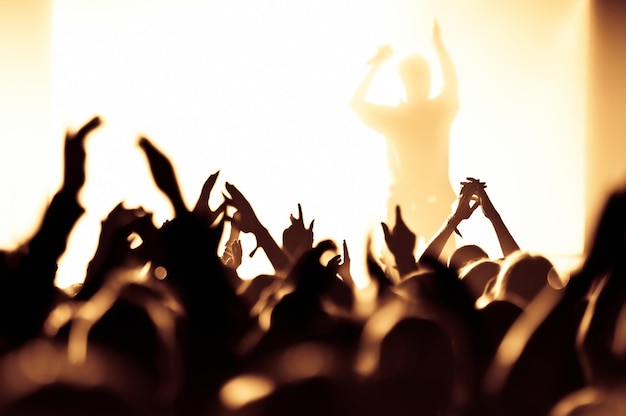 Une foule qui profite d'un concert de musique la nuit.