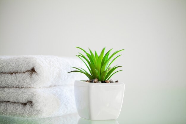 Fournitures de douche. Composition de produits cosmétiques de cure thermale.