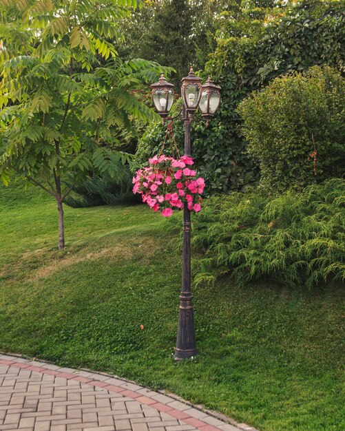 Fragment d'aménagement paysager du parc. Une lanterne vintage et un pot de fleurs avec un pétunia accroché dessus.