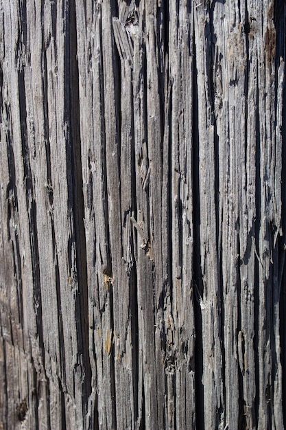 Un fragment du mur de la maison en rondins. Extrémités gercées de vieilles bûches. Bois naturel, texture rugueuse.