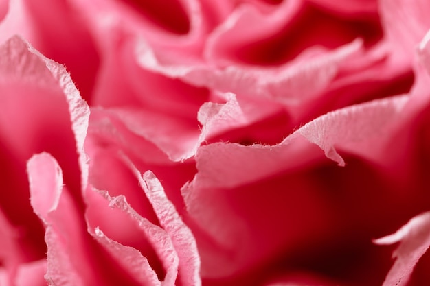 Fragment d'une fleur rose en papier crépon Macrophotographie