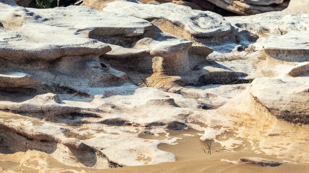 Fragments de roche sur le rivage