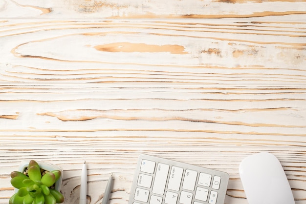 Frais généraux au-dessus vue rapprochée photo photo de la souris du clavier de l'ordinateur succulent et deux stylos toile de fond en bois blanc isolé avec espace vide