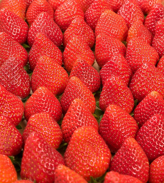 Fraise. Baies fraîches biologiques.