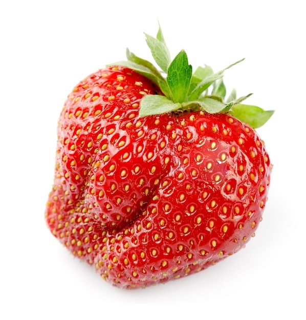 Fraise sur blanc