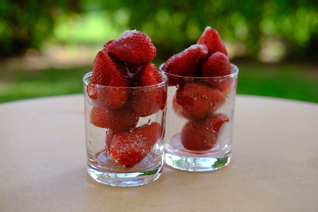 Fraise dans des verres avec du sucre sur la table dans le jardin