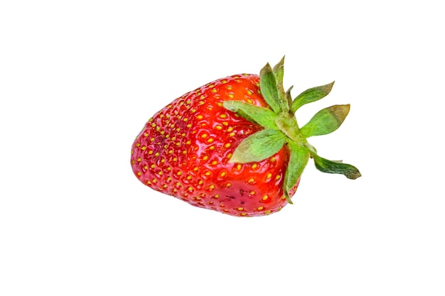 Une fraise entière isolé sur fond blanc