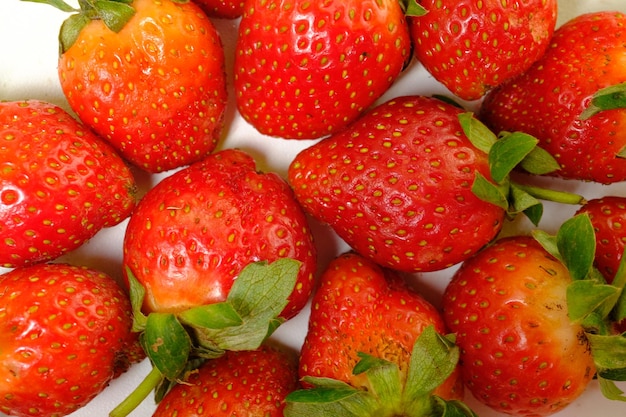 la fraise est une petite plante du genre fraise des bois de la famille des roses. fraise dans l'assiette