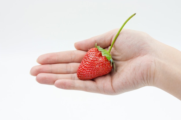 Fraise, femme, main, isolé