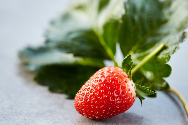 fraise avec des feuilles sur la table