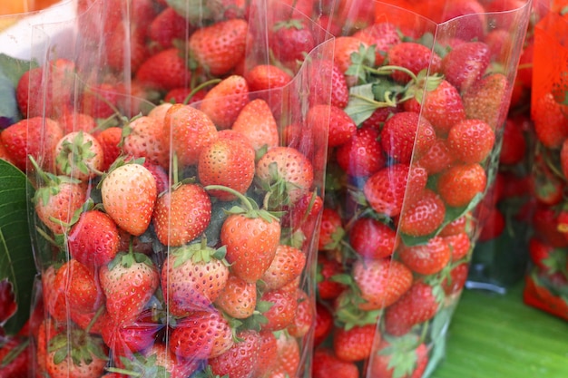 Fraise fraîche au street food