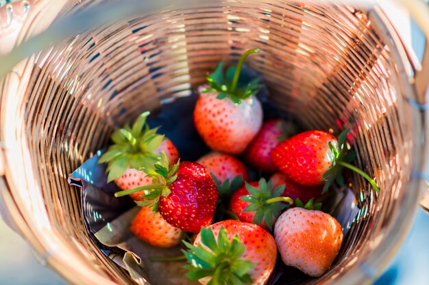 Fraise fraîche dans le panier