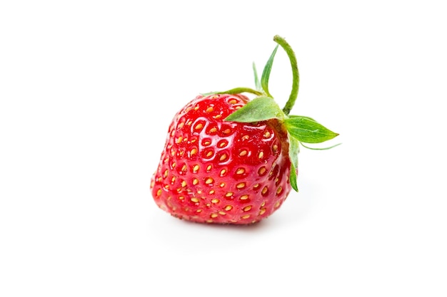 Fraise fraîche mûre isolé sur fond blanc