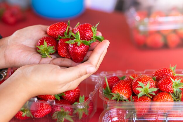 Fraise fraîche à portée de main.