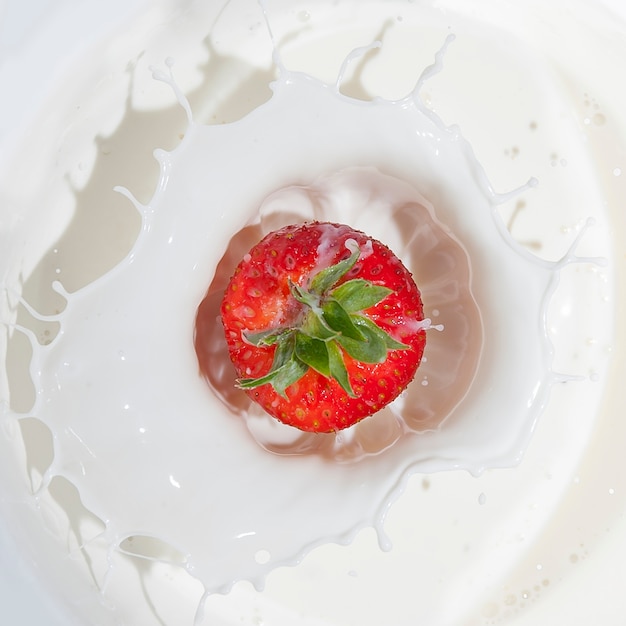 Fraise rouge fraîche tombant dans le lait avec une touche