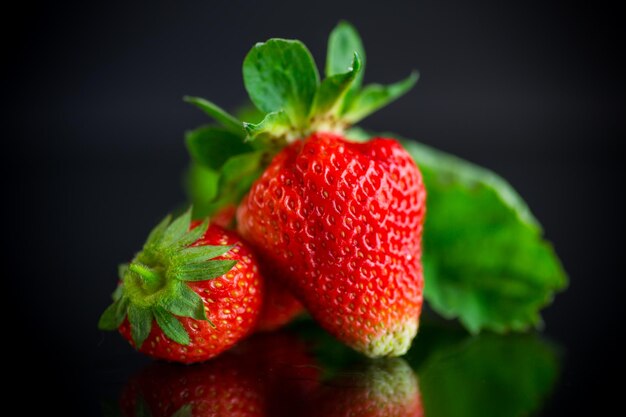 Fraise rouge juteuse mûre sur fond noir