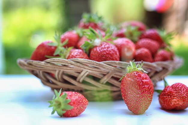 Fraise sur sac en osier outdoor