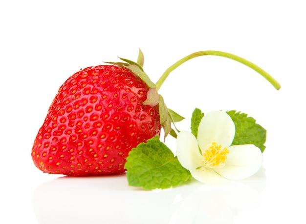 Fraise sucrée mûre et fleur isolée sur blanc