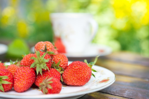 Fraises appétissantes mûres éparpillées sur la plaque blanche