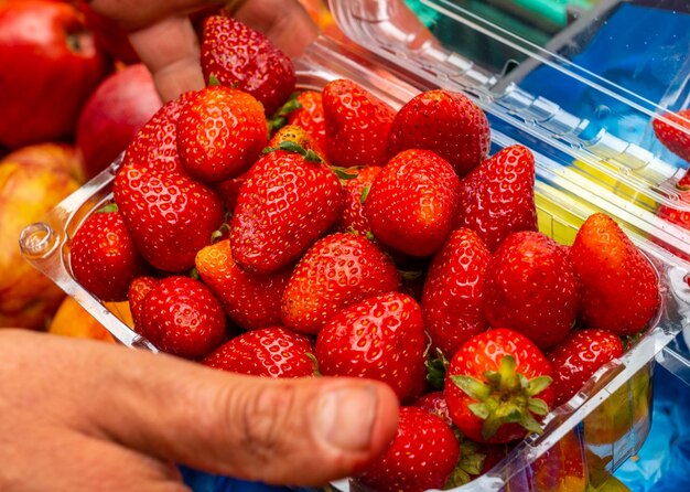 Fraises au marché de producteurs dans la ville de Madère Funchal Portugal