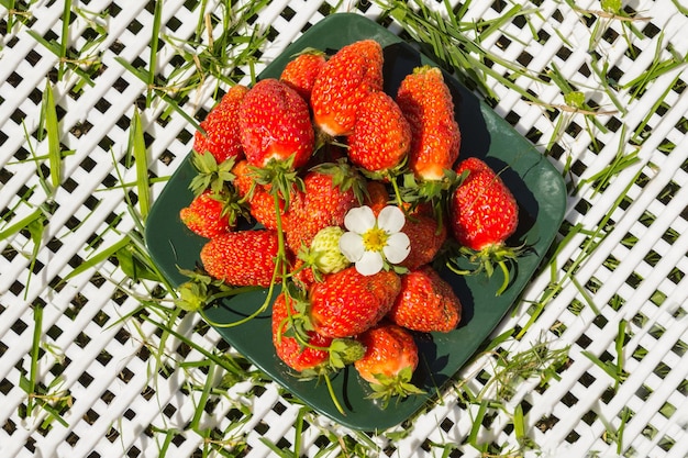 Photo fraises de baies fraîches sur une plaque carrée vert foncé