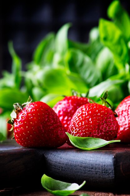 Fraises et basilic vert vintage background selective focus