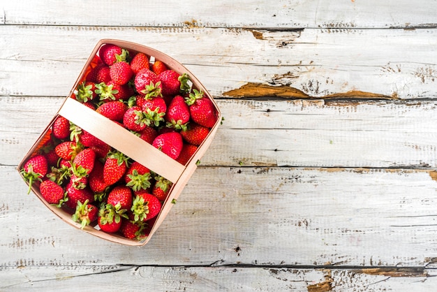 Fraises biologiques de la ferme dans un panier.