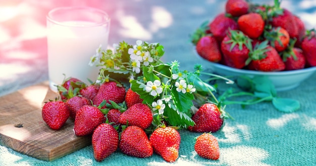 Photo des fraises biologiques fraîches avec un verre de lait