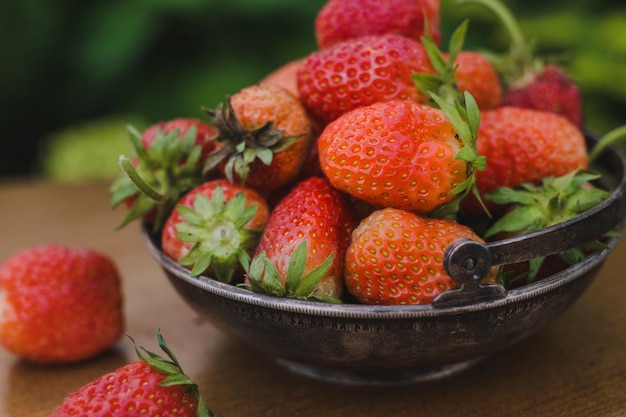 Fraises biologiques rouges mûres à l'extérieur