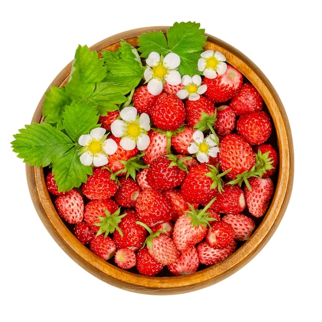 Fraises des bois dans un bol en bois