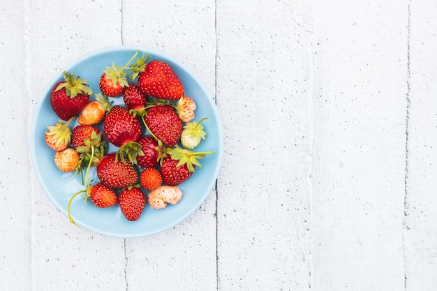 fraises des bois avec leurs feuilles et tiges sur un fond blanc Copier l'espace