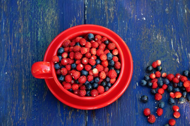 fraises des bois et myrtilles dans un bol rouge