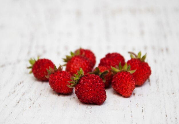 Fraises des bois