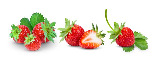 Fraises bouchent sur fond blanc