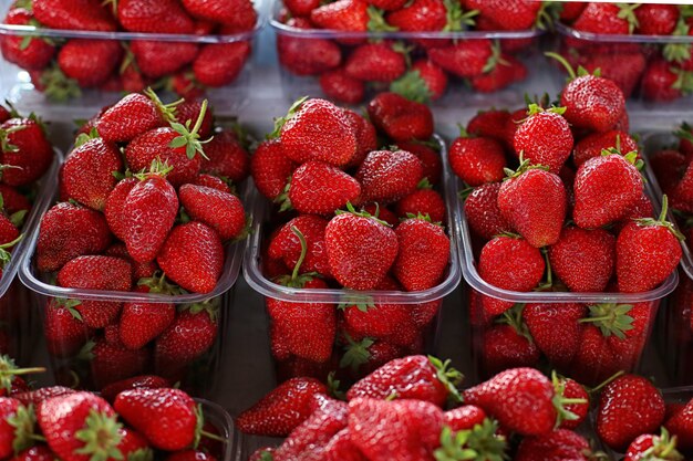 Fraises sur le comptoir du marché, baies d'été fraîches.