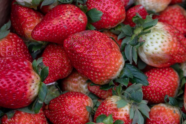 Fraises dans l'image de fond du panier