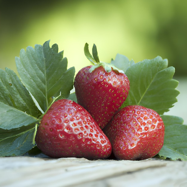 Fraises douces fraîches dans le fond naturel.